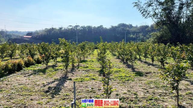 峨眉農地-8