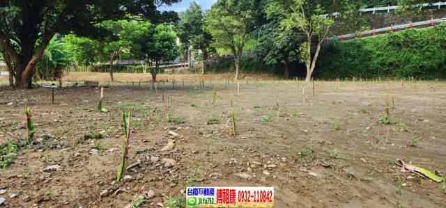 新竹芎林農地-6