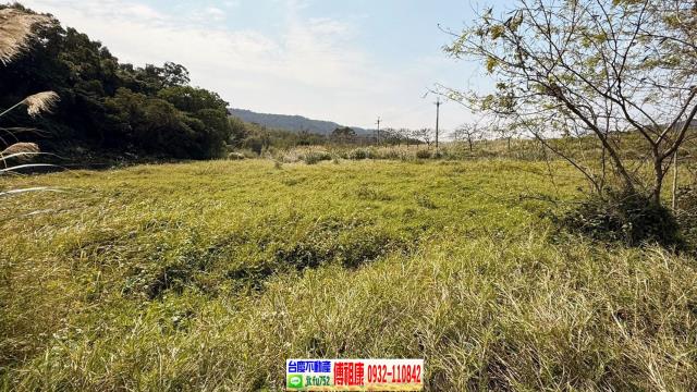 新埔農地-9