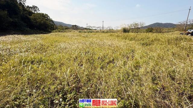 新埔農地-10