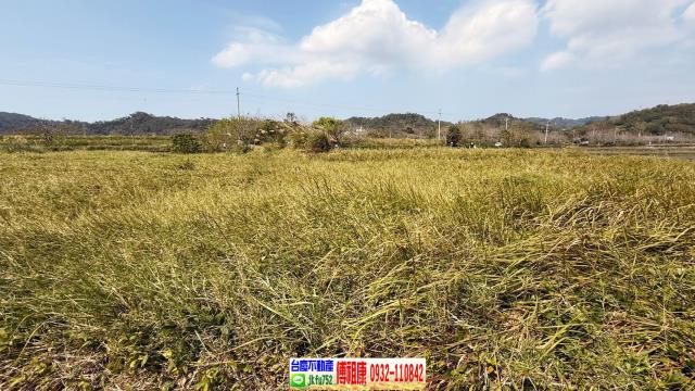 新埔農地-11