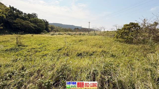 新埔農地-8