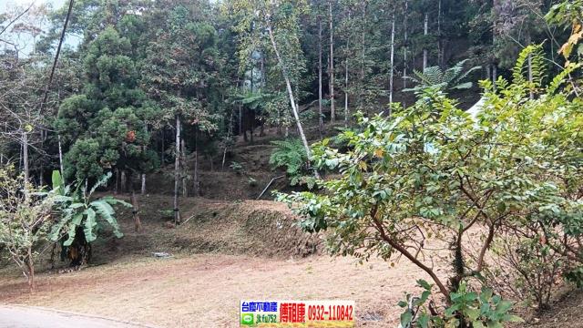 竹東農地-9