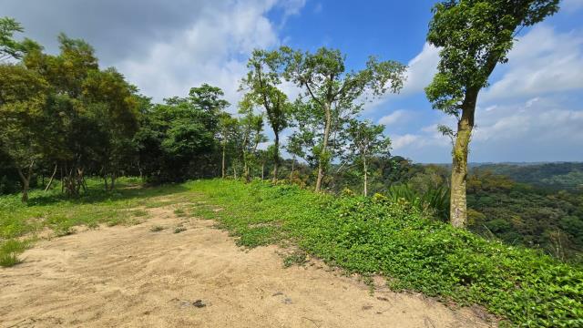 北埔農地-0