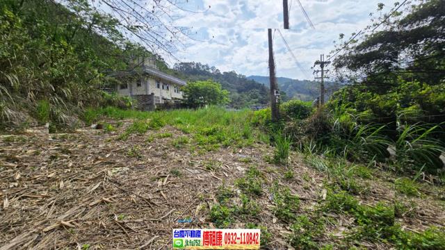 新竹農地-1