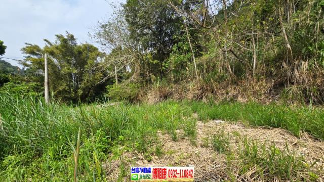 新竹農地-2