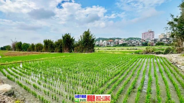 芎林農地-0