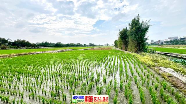 芎林農地-3