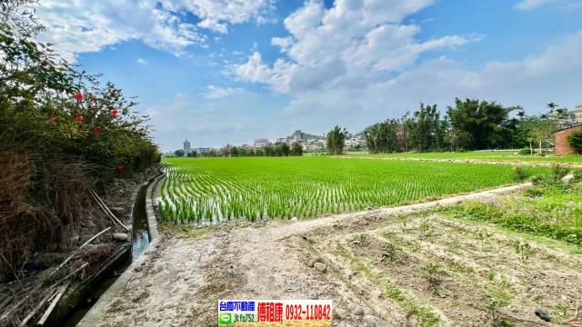 芎林農地-5