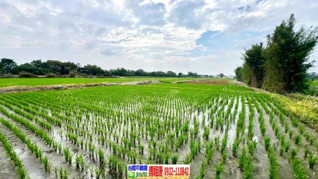 芎林農地-8