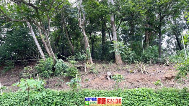 北埔休閒地-11