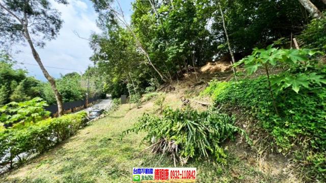 北埔休閒地-5