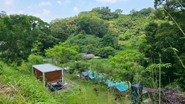 苗栗農地-14