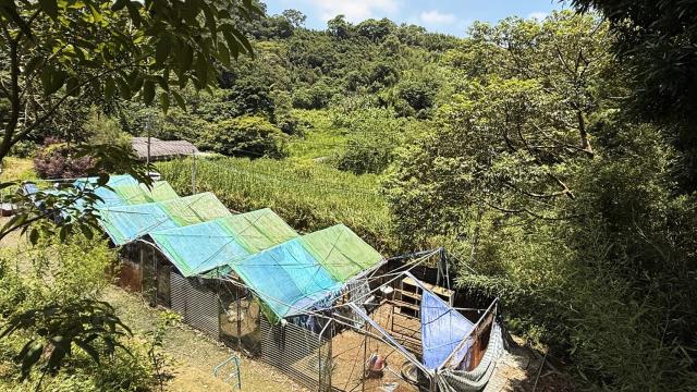 苗栗農地-4