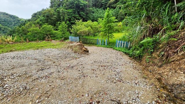 新竹竹東農地-11