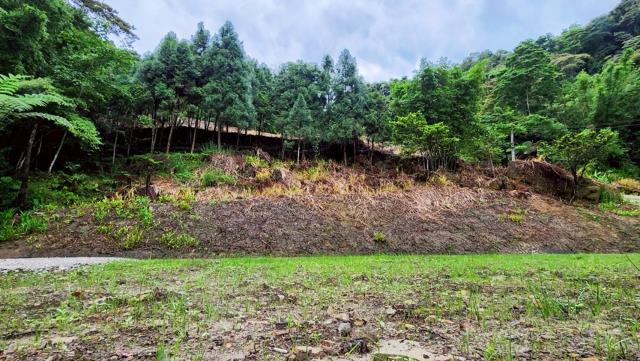 新竹竹東農地-12