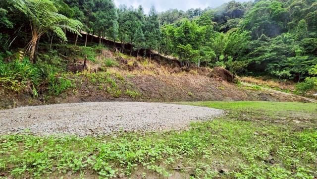 新竹竹東農地-8