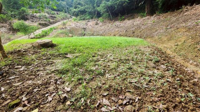 新竹竹東農地-3