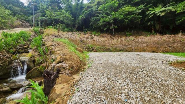 新竹竹東農地-6
