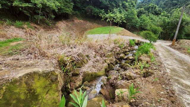 新竹竹東農地-8