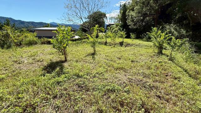 新竹橫山農地-8