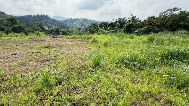 新竹橫山農地-2