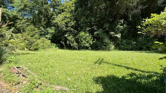 新竹關西農地-10