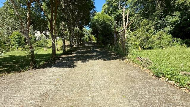 新竹關西農地-13