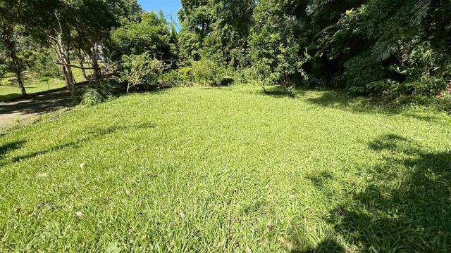 新竹關西農地-6