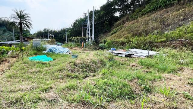 新竹寶山農地-2