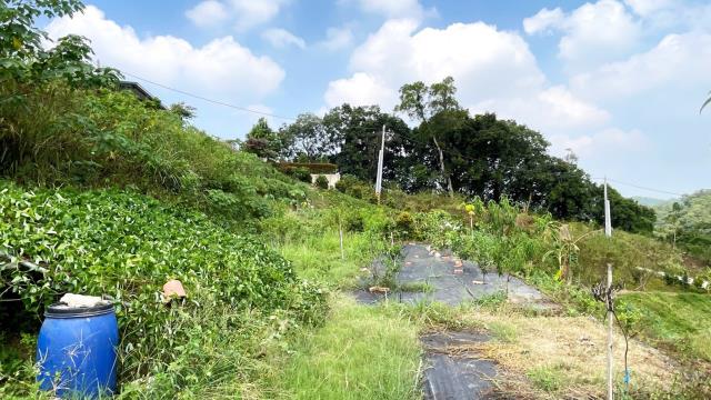 新竹寶山農地-5