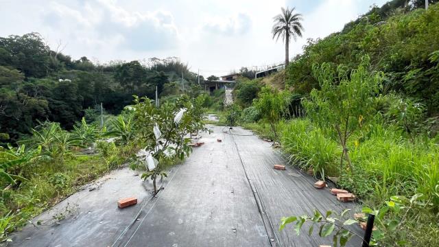 新竹寶山農地-8