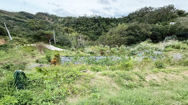 新竹寶山農地-6