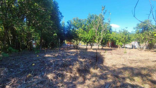 新竹橫山農地-9