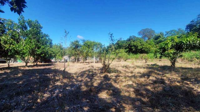 新竹橫山農地-0