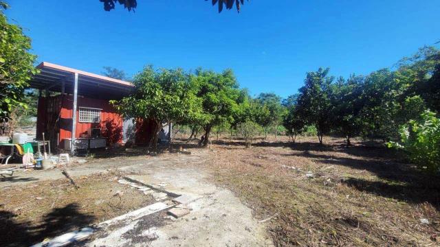 新竹橫山農地-1