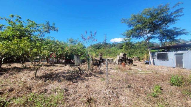 新竹橫山農地-6