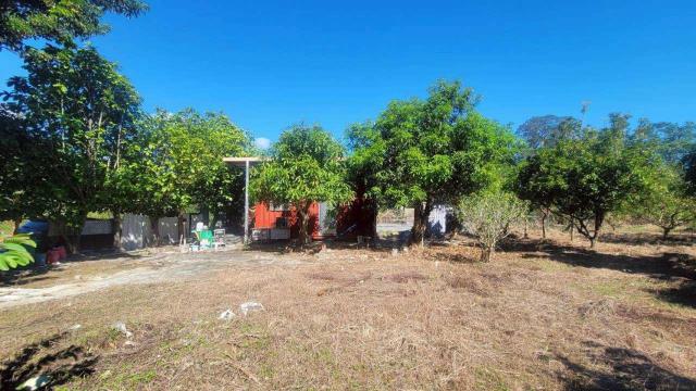 新竹橫山農地-8