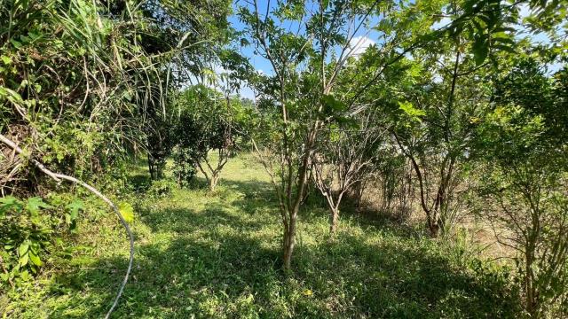 新竹交通用地-13