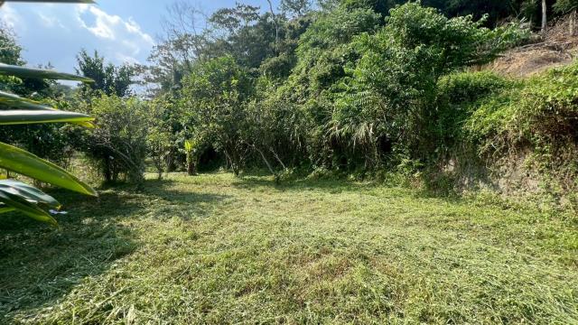 新竹交通用地-7