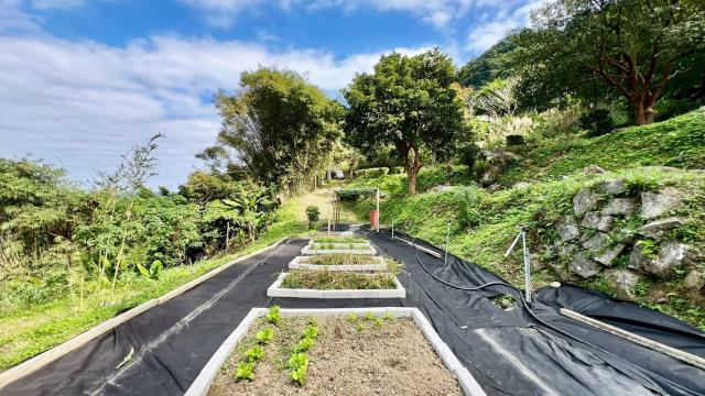 新竹橫山農地-12