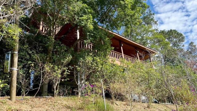 新竹峨眉林地-0