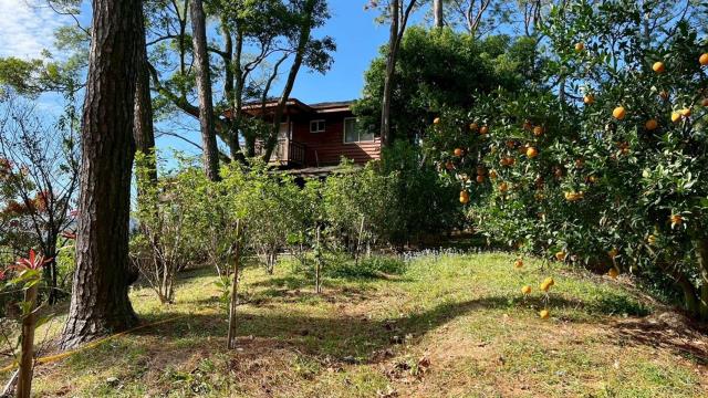 新竹峨眉林地-3