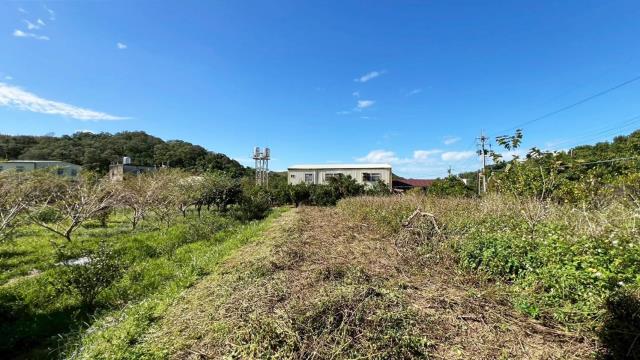 苗栗頭份農地-1