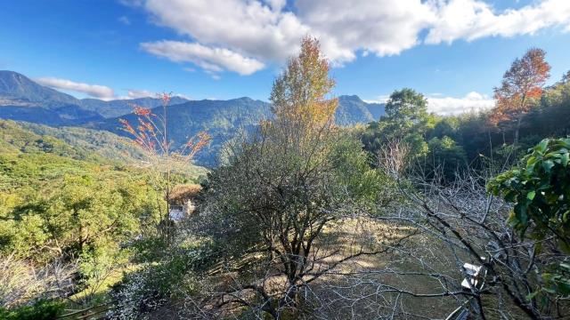 新竹尖石農地-9