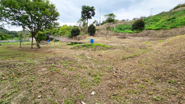 新竹北埔農地-11