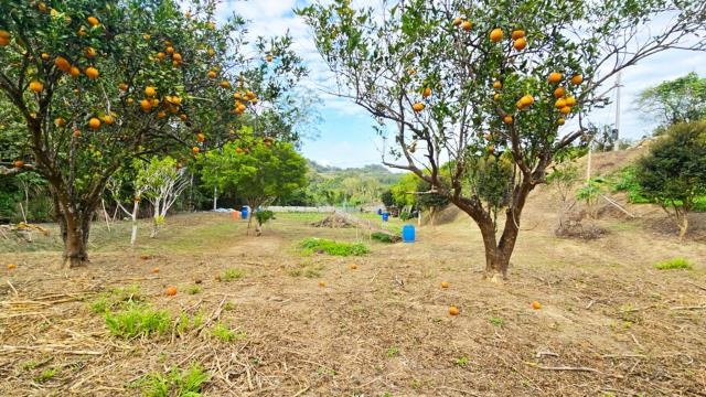 新竹北埔農地-12