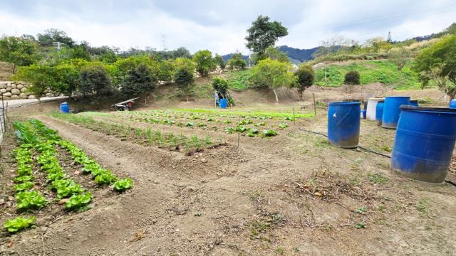 新竹北埔農地-13