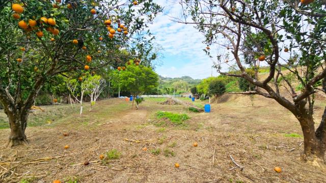 新竹北埔農地-3