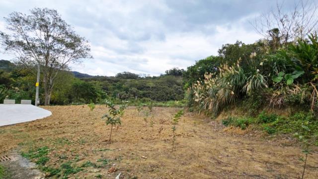 新竹北埔農地-2